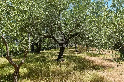 Villa in vendita a Linguaglossa - foto 9