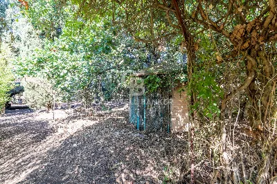 Villa in vendita a Caltagirone - foto 10