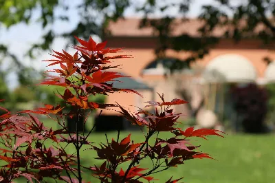 Rustico/Casale in vendita a Treviso, San g... - foto 3