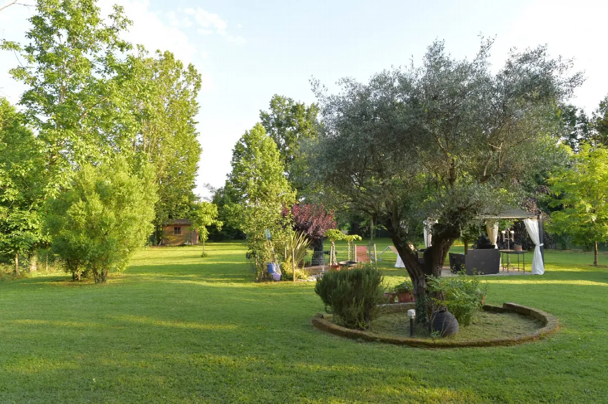 Rustico/Casale in vendita a Treviso, San Giuseppe, Aeroporto, Santa Maria Del Sile, Canizzano - foto 4