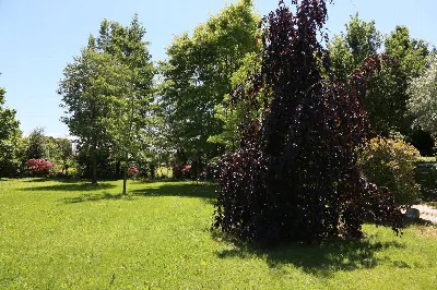 Rustico/Casale in vendita a Treviso, San g... - foto 6