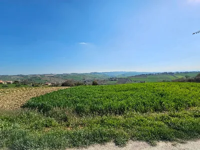 Villa in vendita a Fermo - foto 2