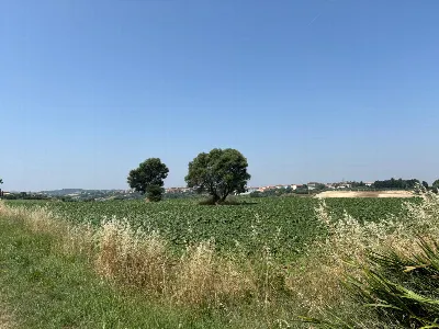 Villa in vendita a Porto Sant'Elpidio - foto 10
