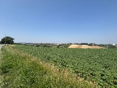 Villa in vendita a Porto Sant'Elpidio - foto 6