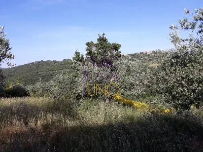 Rustico/Casale in vendita a Bucine - foto 4