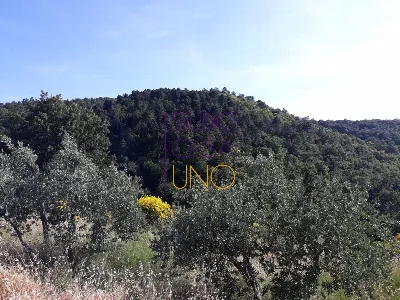 Rustico/Casale in vendita a Bucine - foto 6