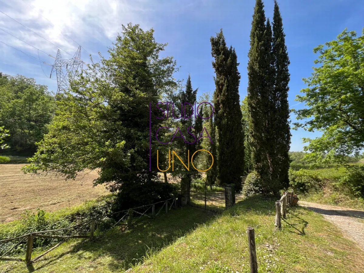 Rustico/Casale in vendita a Montevarchi - foto 3