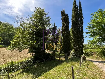 Rustico/Casale in vendita a Montevarchi - foto 3
