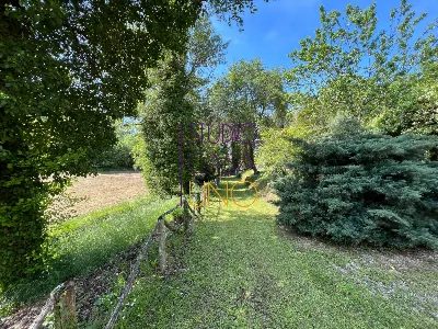 Rustico/Casale in vendita a Montevarchi - foto 8