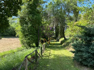 Rustico/Casale in vendita a Montevarchi - foto 9
