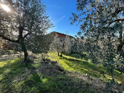 Rustico/Casale in vendita a Bucine - foto 3