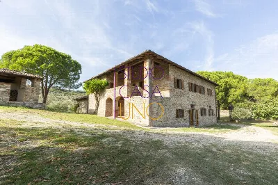 Rustico/Casale in vendita a Radda in Chian... - foto 4