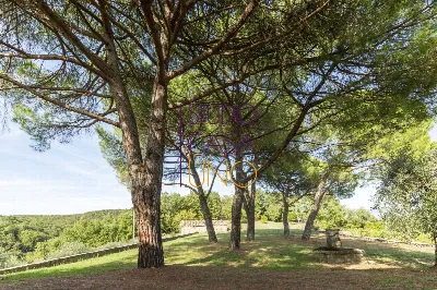 Rustico/Casale in vendita a Radda in Chian... - foto 6