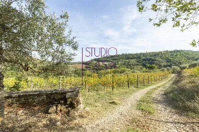 Rustico/Casale in vendita a Gaiole in Chia... - foto 3