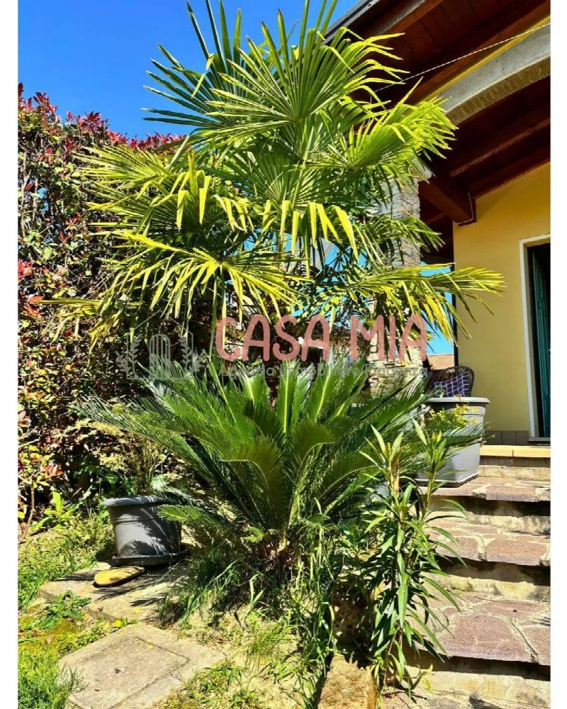 Casa Indipendente in vendita a Gossolengo - foto 1
