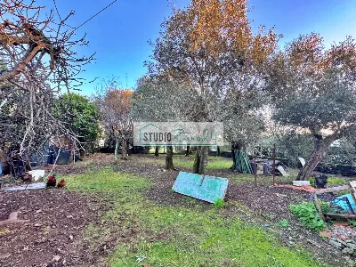 Casa Indipendente in vendita a Seravezza - foto 1