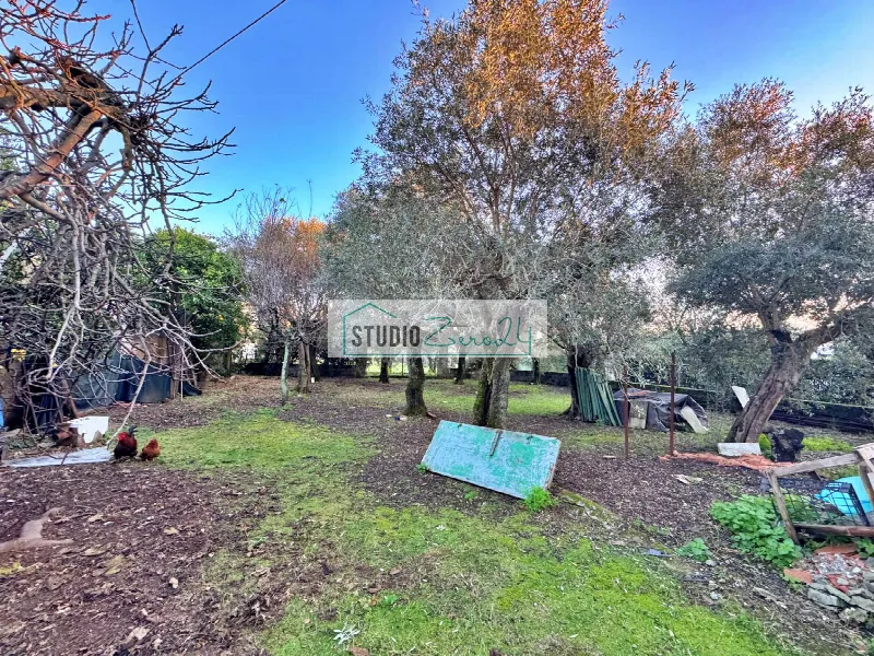 Casa Indipendente in vendita a Seravezza - foto 1