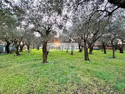Casa Indipendente in vendita a Seravezza - foto 8