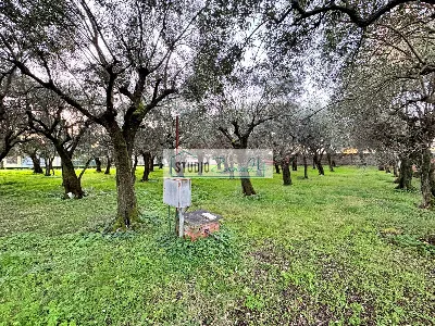 Casa Indipendente in vendita a Seravezza - foto 9