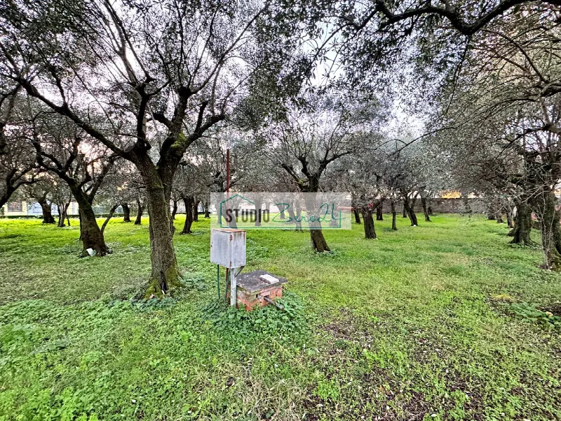 Casa Indipendente in vendita a Seravezza - foto 9