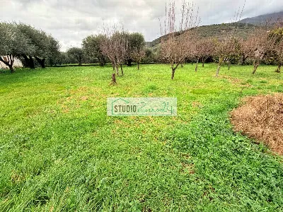 Villa in vendita a Pietrasanta - foto 3
