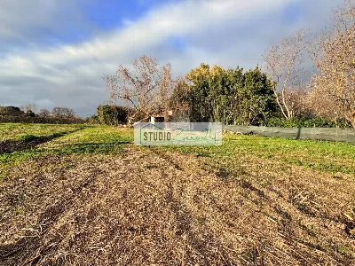 Rustico/Casale in vendita a Pietrasanta - foto 3