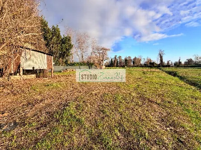 Rustico/Casale in vendita a Pietrasanta - foto 4