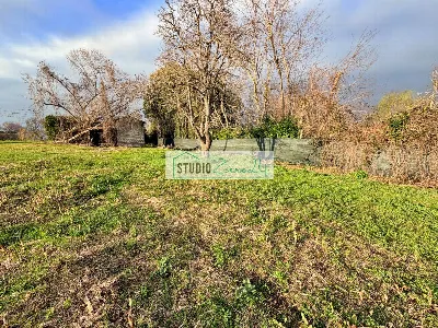 Rustico/Casale in vendita a Pietrasanta - foto 5