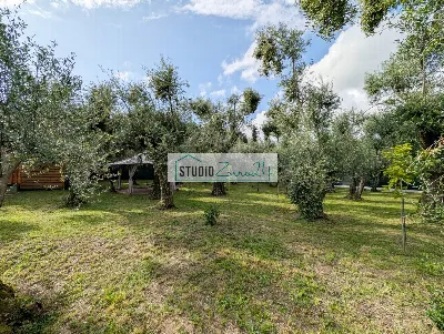 Rustico/Casale in vendita a Seravezza - foto 10