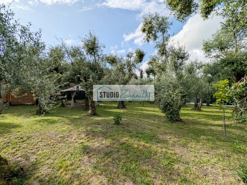 Rustico/Casale in vendita a Seravezza - foto 10
