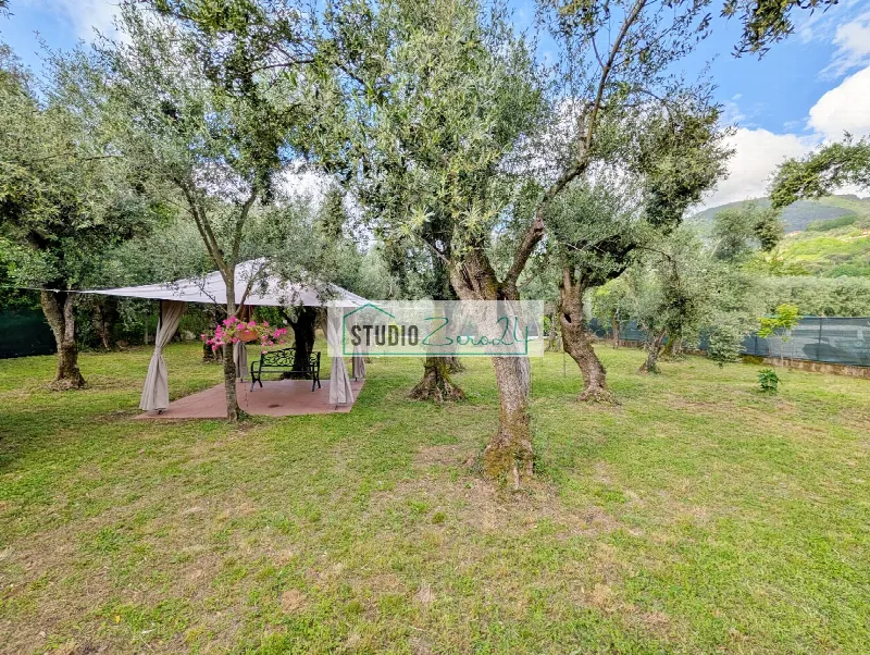 Rustico/Casale in vendita a Seravezza - foto 3