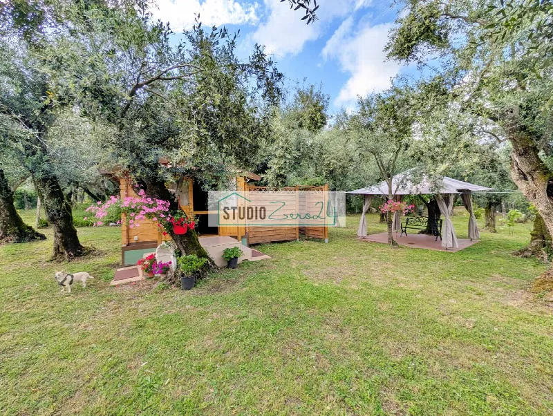 Rustico/Casale in vendita a Seravezza - foto 4