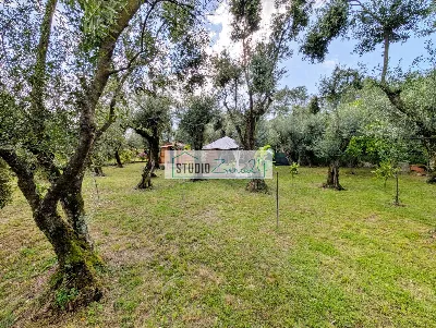 Rustico/Casale in vendita a Seravezza - foto 6