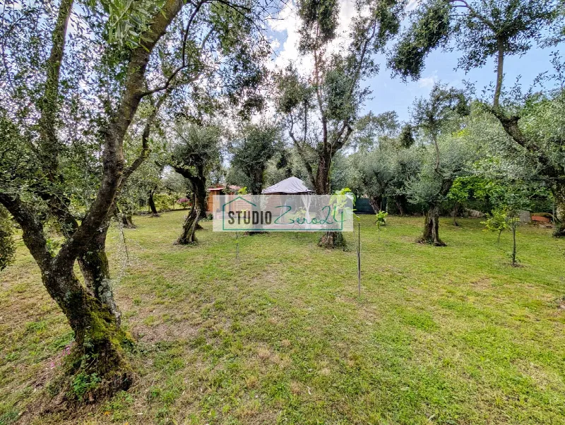 Rustico/Casale in vendita a Seravezza - foto 6