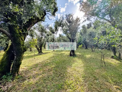 Rustico/Casale in vendita a Seravezza - foto 8