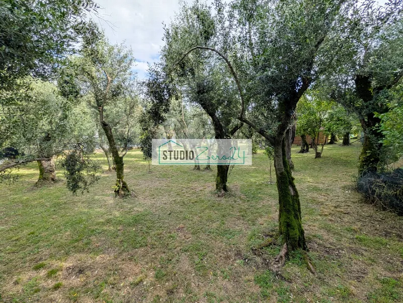 Rustico/Casale in vendita a Seravezza - foto 9