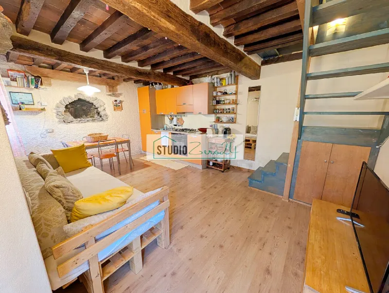 Casa Indipendente in vendita a Seravezza - foto 1