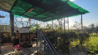 Rustico/Casale in vendita a Amelia - foto 4