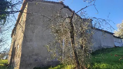 Rustico/Casale in vendita a Amelia - foto 5