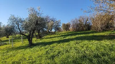 Rustico/Casale in vendita a Amelia - foto 6