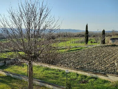 Villa in vendita a Alviano - foto 4