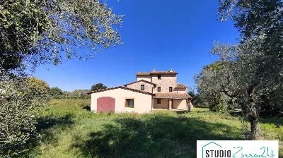 Rustico/Casale in vendita a Avigliano Umbr... - foto 10