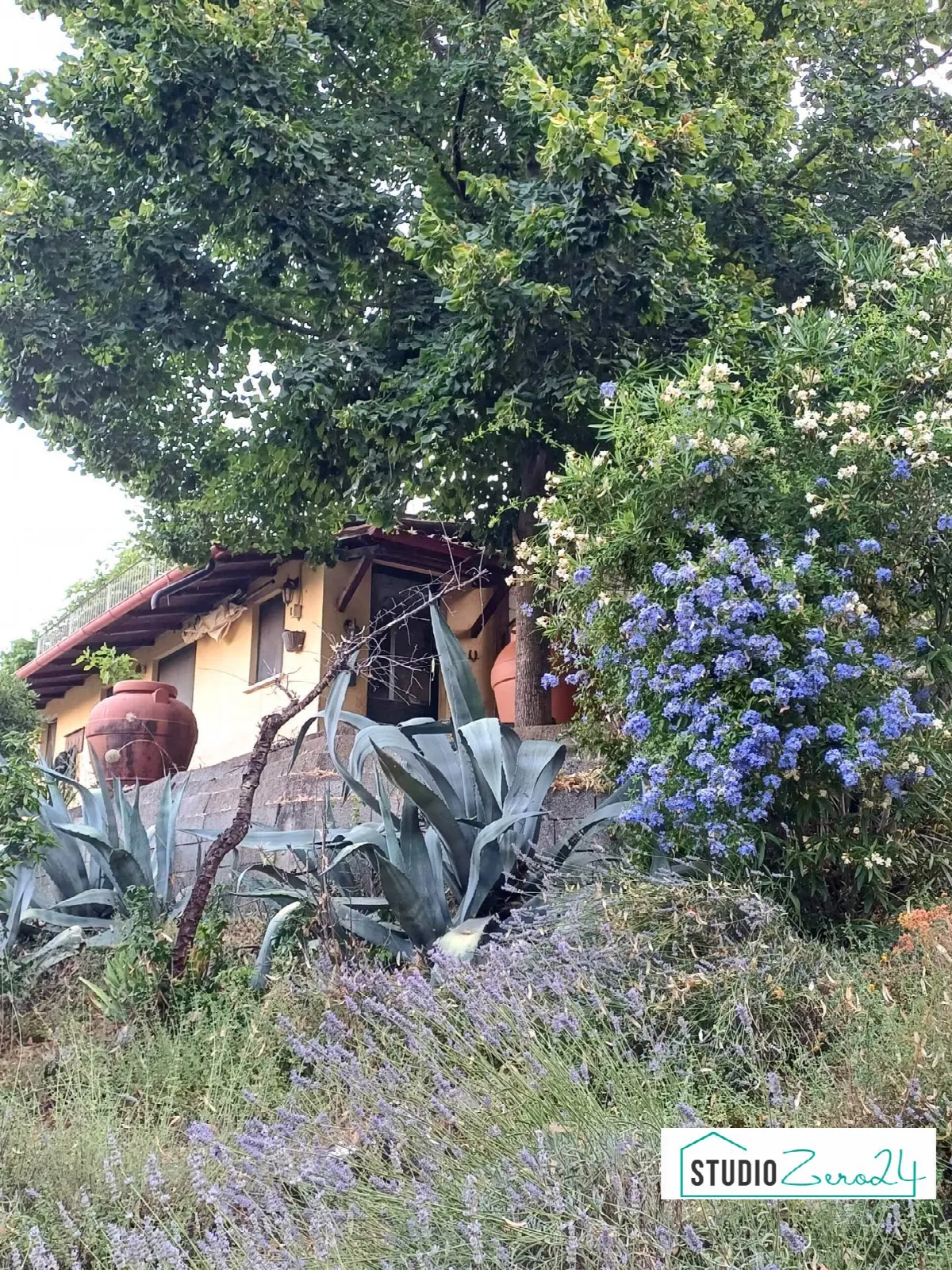 Casa Indipendente in vendita ad Amelia - foto 4