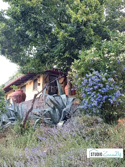 Casa Indipendente in vendita a Amelia - foto 4
