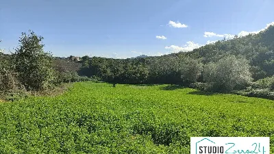 Rustico/Casale in vendita a Avigliano Umbr... - foto 4