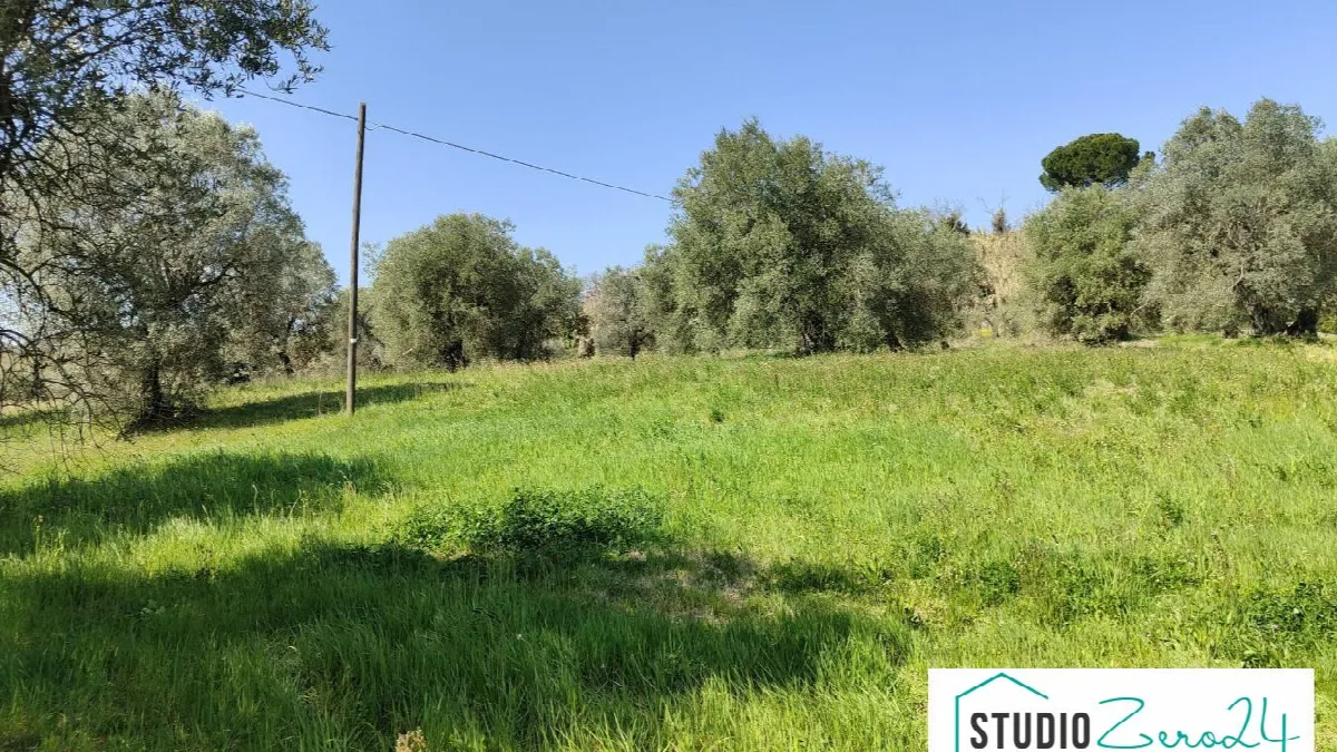 Rustico/Casale in vendita a Amelia - foto 4