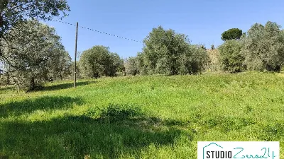 Rustico/Casale in vendita a Amelia - foto 4