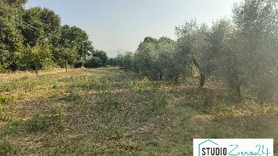 Villa in vendita a Amelia - foto 8