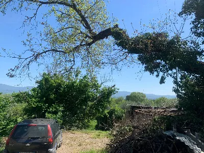 Rustico/Casale in vendita a Graffignano - foto 10