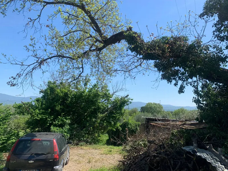Rustico/Casale in vendita a Graffignano - foto 10